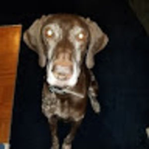 Meet your Posher, Beth